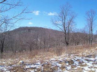 5687 Bonn Way E, Great Valley, NY 14741
