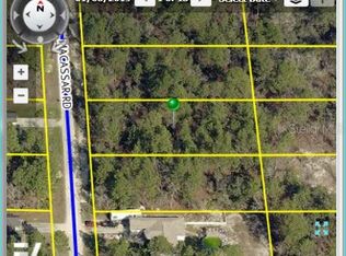 Macassar Rd, Weeki wachee, FL 34614