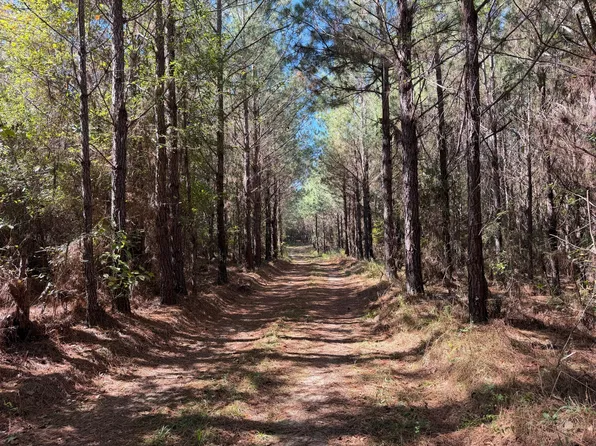 0 County Road 7755, Troy, AL 36081