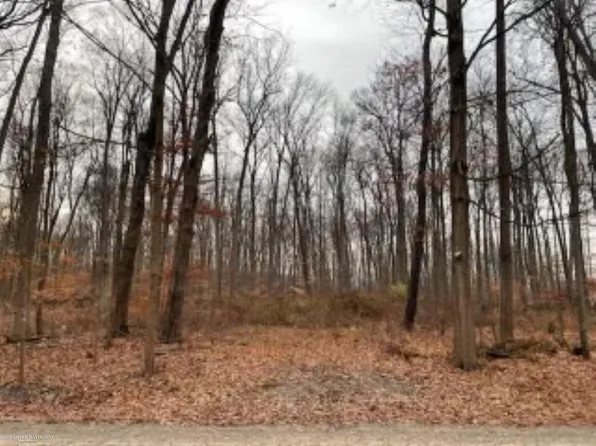 0 Kunstman Rd, Ray Twp, MI 48096