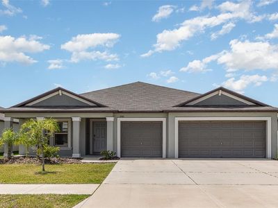 13581 Willow Bluestar Loop, Riverview, FL, 33579
