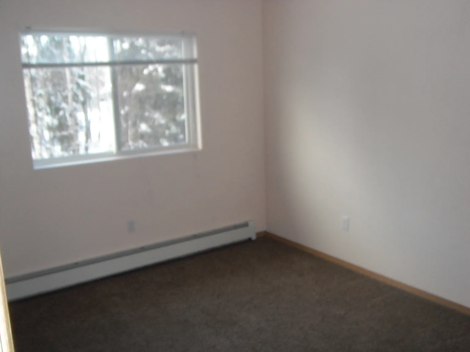 Hillborn Properties — Photo 4
