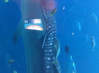 3208 N Peach Tree Ln, Appleton, WI 54911