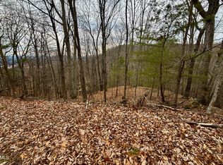 7/AC Pinnacle Point Lot 219, Mooresburg, TN 37811