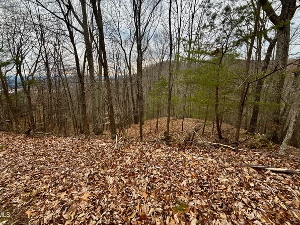 7/AC Pinnacle Point Lot 219, Mooresburg, TN 37811