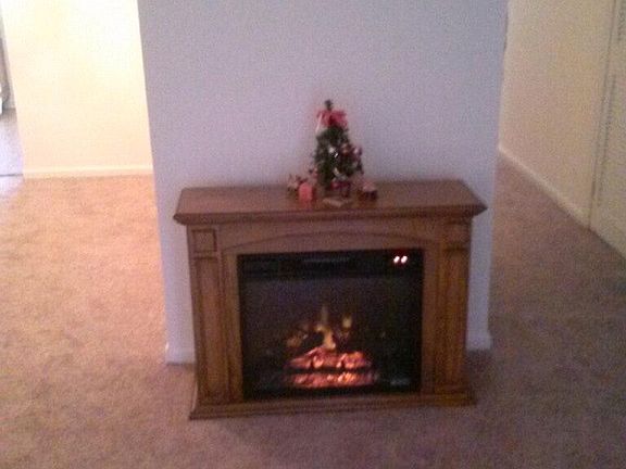 Electric Fireplace in Living Room
