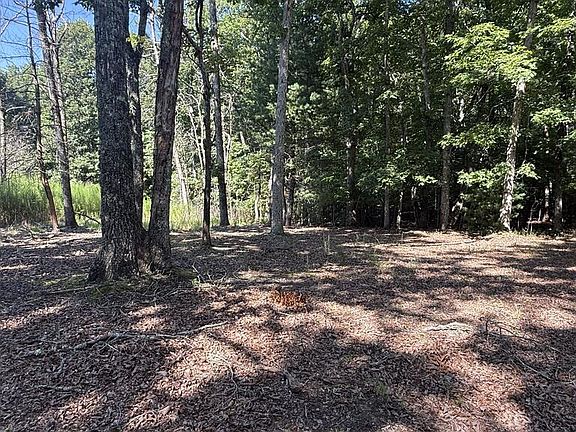 4th image of 259 Spring Hills Ln