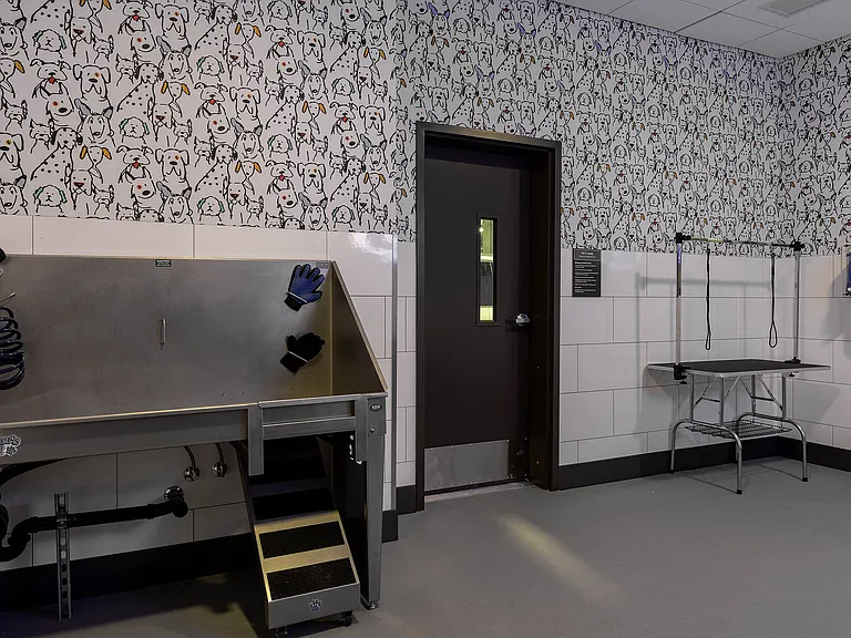 East Building Pet Wash amenity