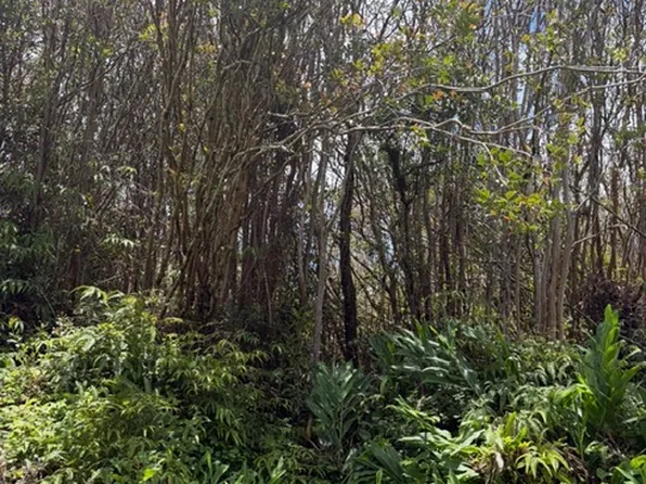 Huleia Pl Lot 31, Mountain View, HI 96771