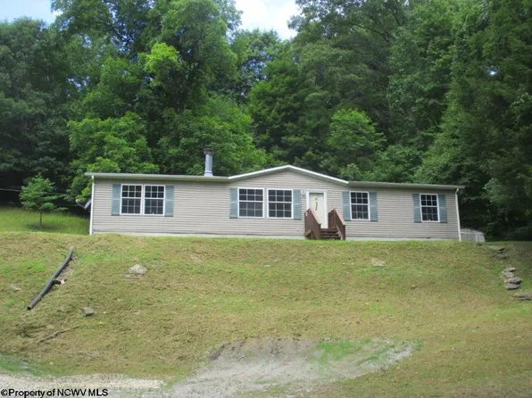 2139 Big Run Rd, French Creek, WV 26218