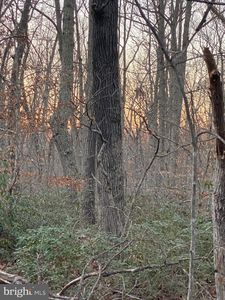 Old Mill Road Crooked Run LOT 6, Culpeper, VA, 22701