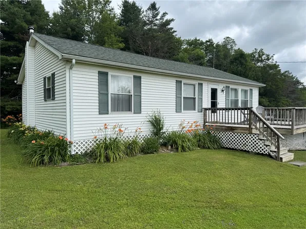 3201 Launt Hollow Rd, Hamden, NY 13782