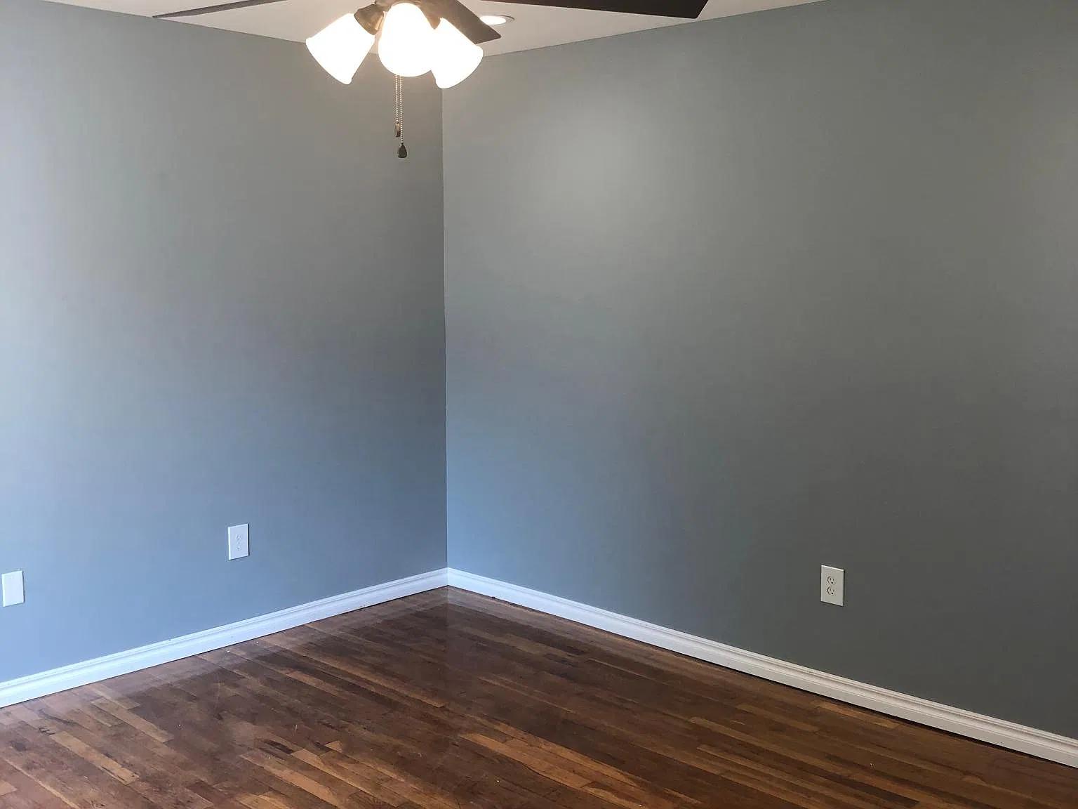 2 bed, 1000 sqft, $1,450 — Photo 3