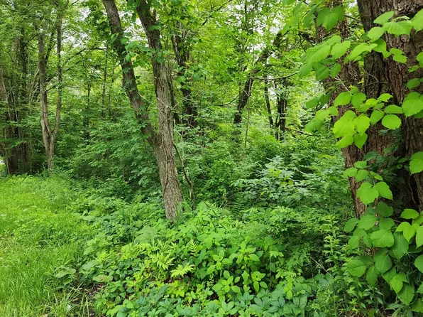 LOT 3-3.1 Warren Rd, Brimfield, MA 01010