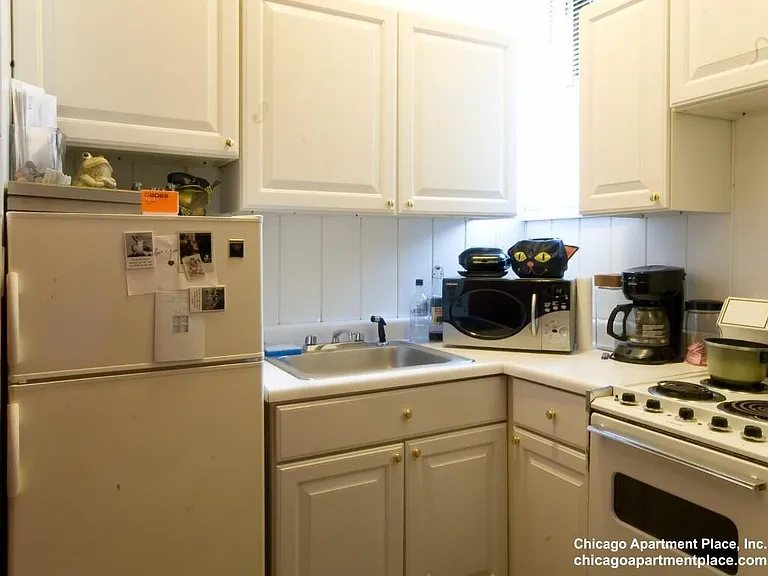 611 W Briar Pl #102 — Photo 3