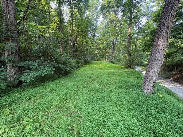 0 Township Rd #369, Clarington, OH 43915