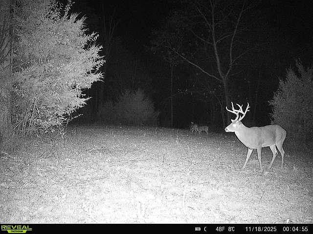 64th image of this home