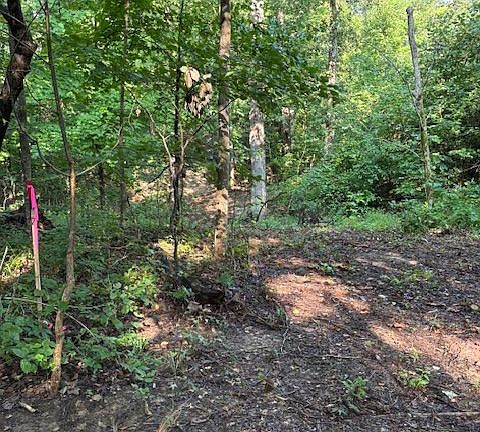 5th image of 1125 Cedar Flats Rd