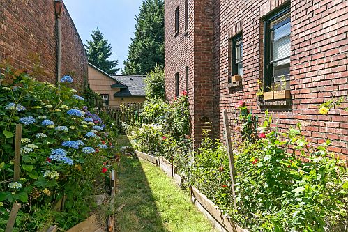 Oriana Apartments: shared courtyard