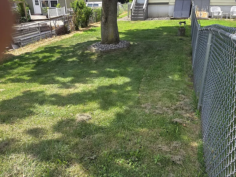 33 Martin St — Photo 16