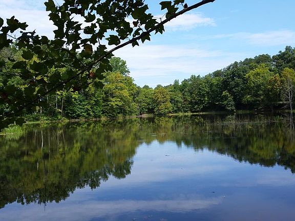 Looking Toward the Dam