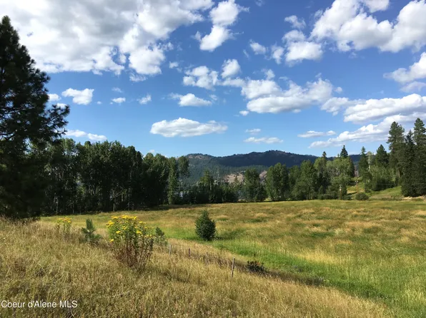 Nna S Upper Black Lake Rd, Medimont, ID 83842