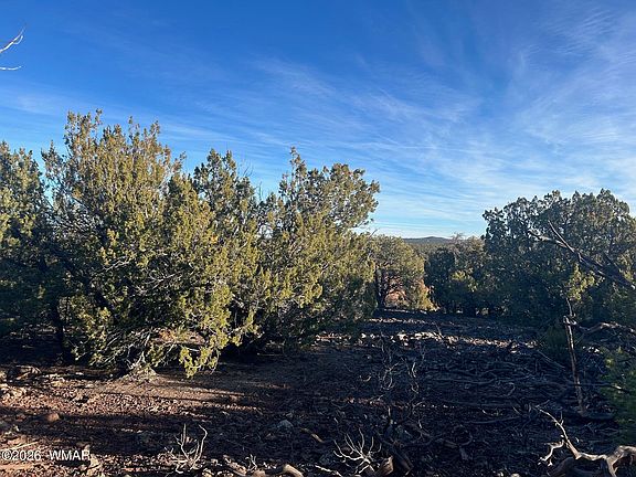 2nd image of 80 Ranch Rd