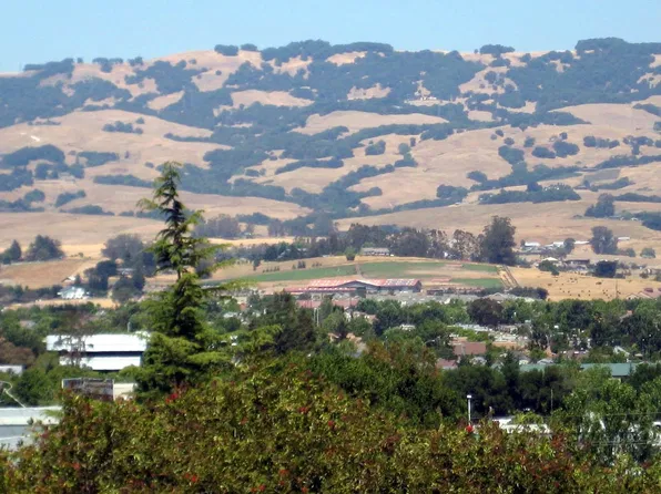 2439 Petaluma Blvd N, Petaluma, CA 94952