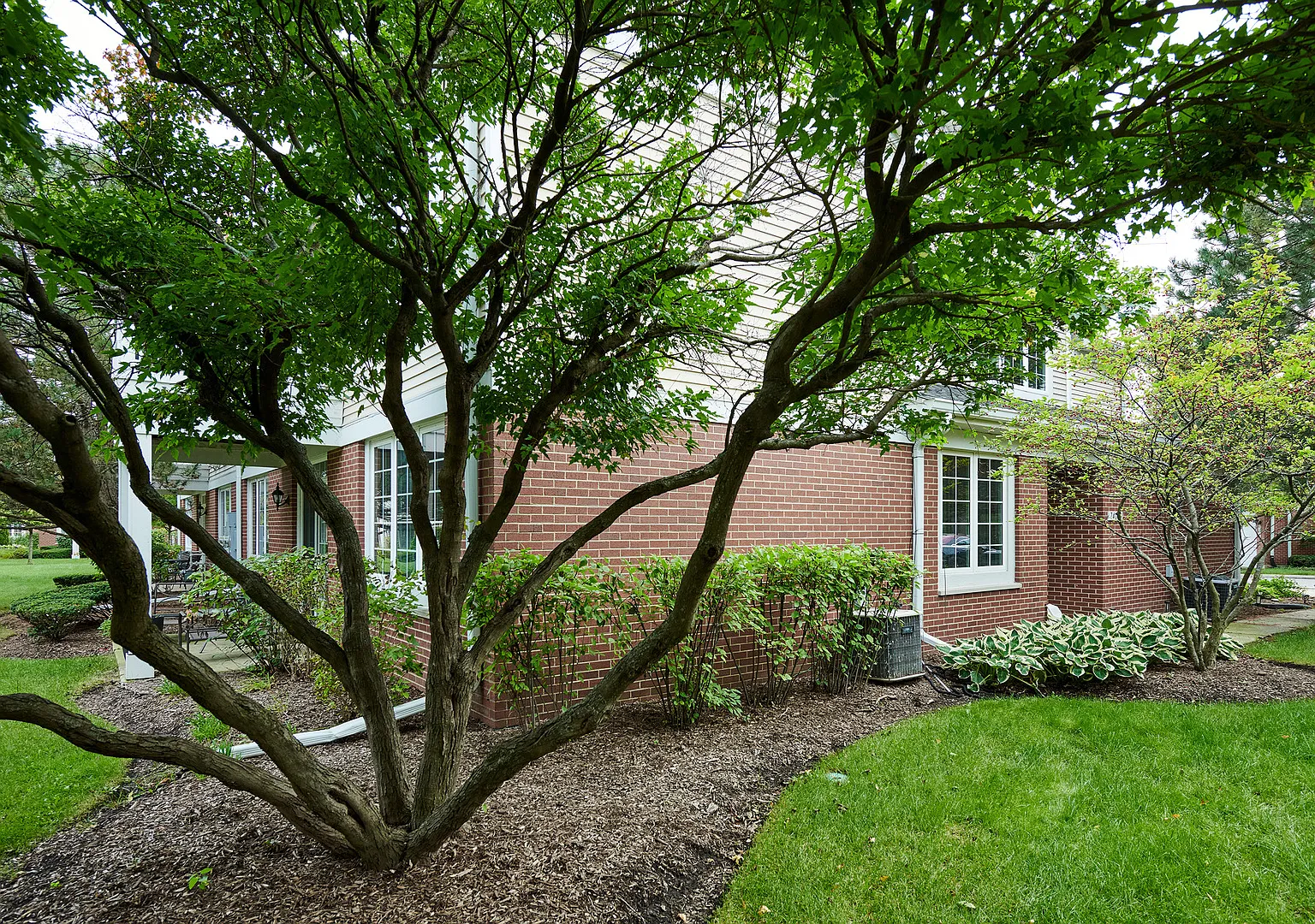 2 bed, 1650 sqft, $3,000 — Photo 2