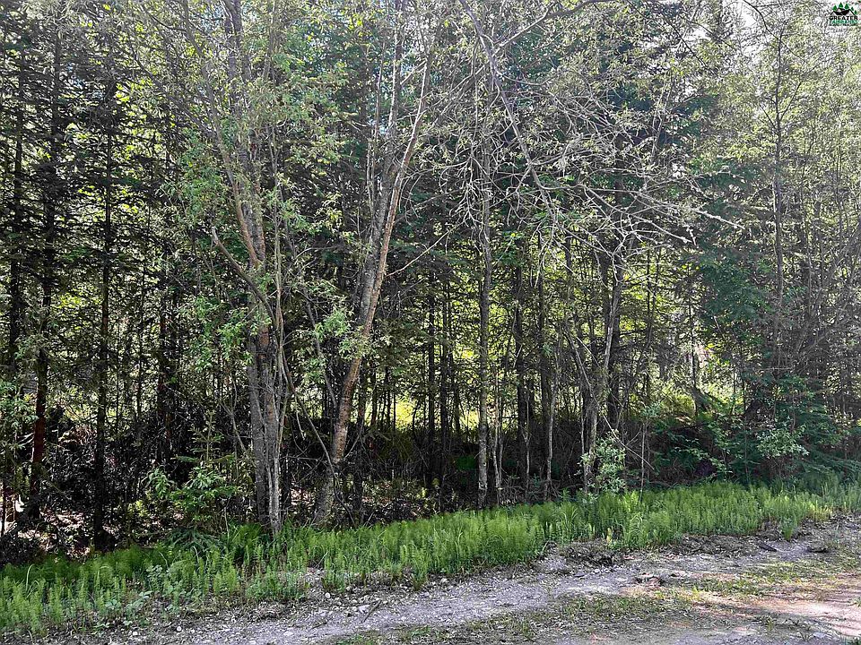 2nd image of L35 Terry Ln