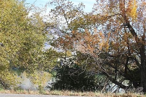 Property across street on lake