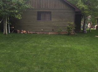 221 Black Bear Dr, Gypsum, CO 81637