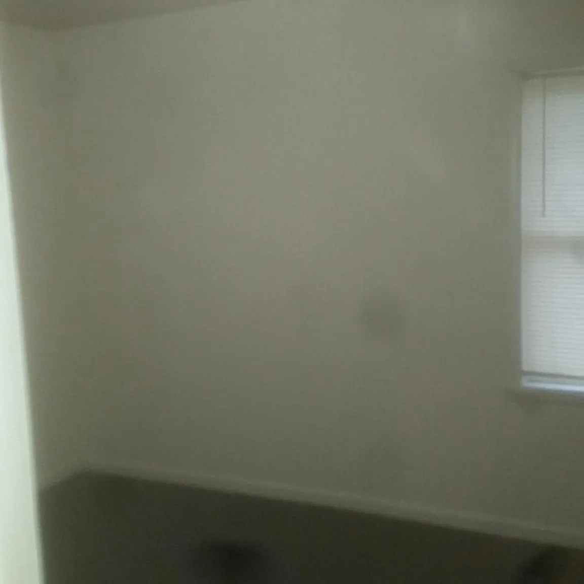 691 Madelon Ct — Photo 3