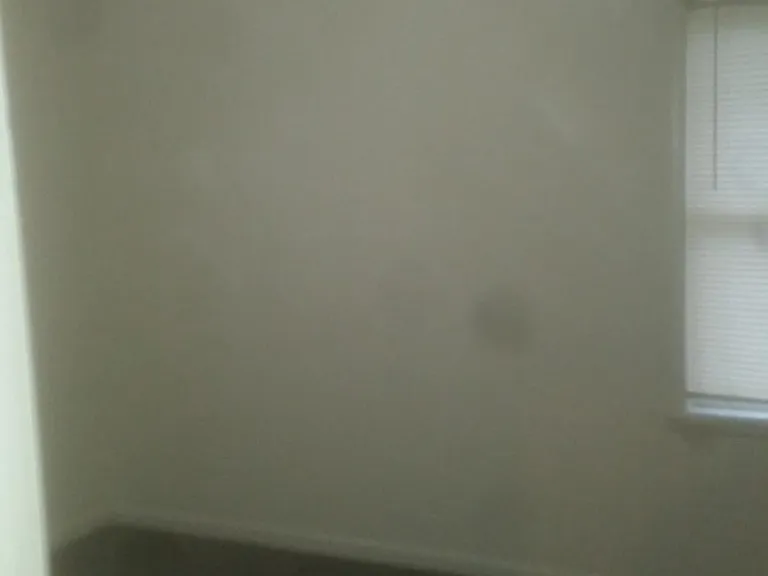 691 Madelon Ct — Photo 3