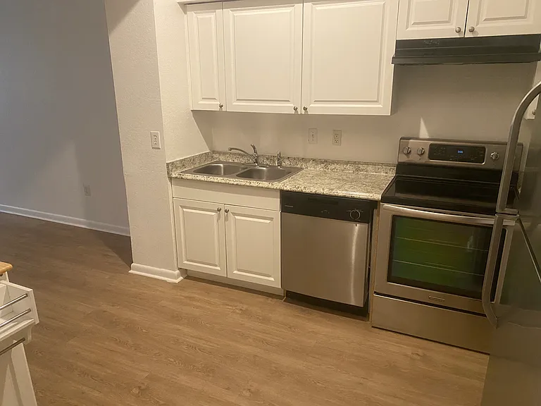 2411 W Horatio St #518 — Photo 7