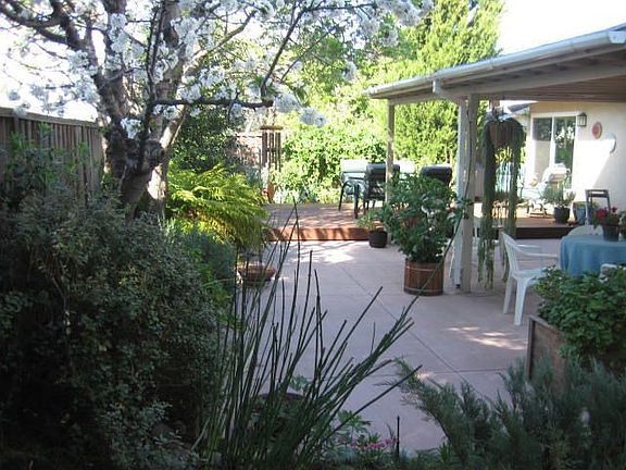 View From Back Fence