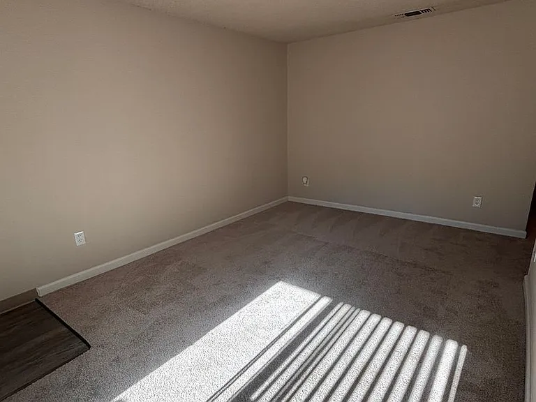 Olive Glen — Photo 18