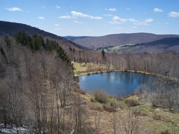 1855 Davis Hollow Rd Lot 15, Andes, NY 13731
