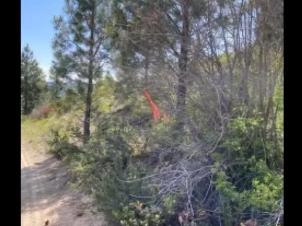 Unknown Fsr #310, Entiat, WA 98822