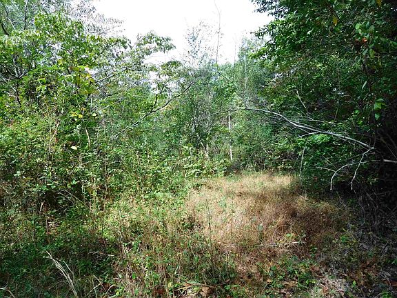 5th image of E Northshore Dr