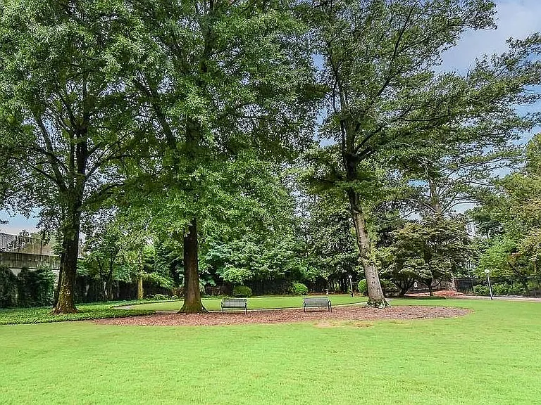 Backyard green space