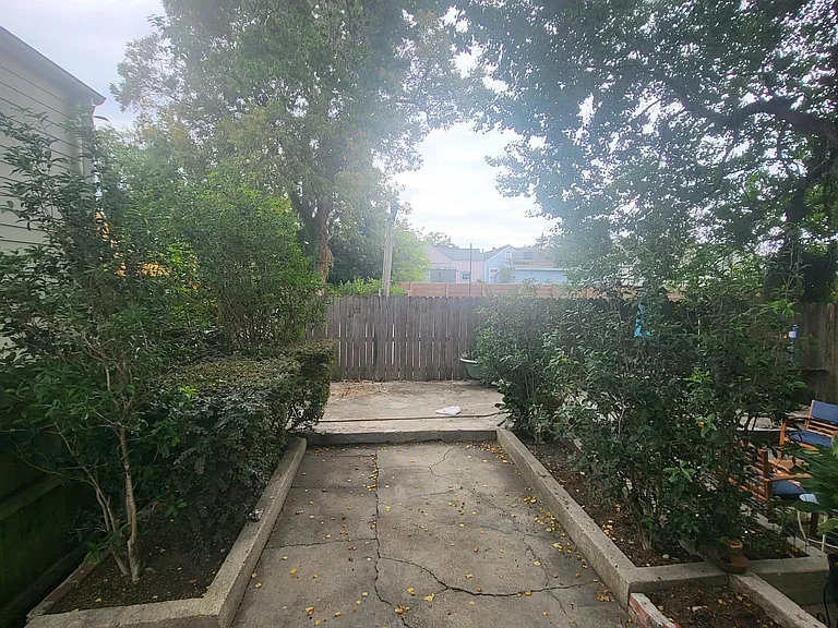 back yard