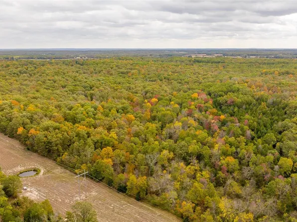 0 County Road 2150, Edgar Springs, MO 65462