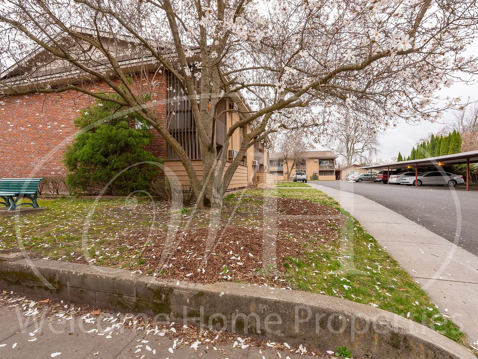 Redwood Apartments — Photo 2