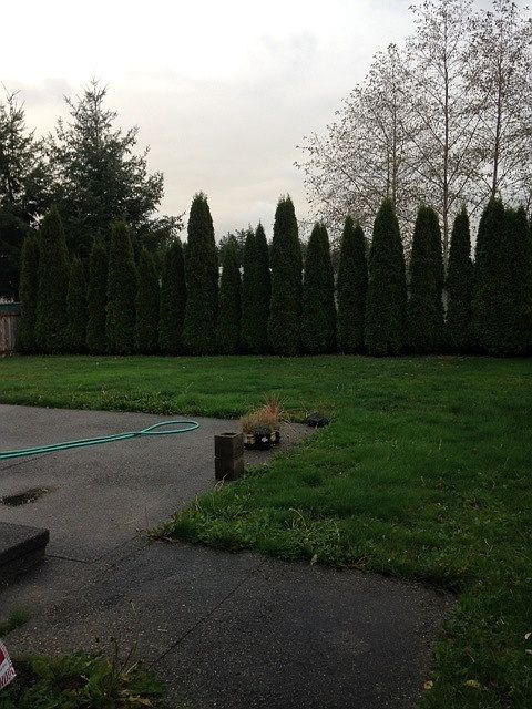 Fenced Back Yard