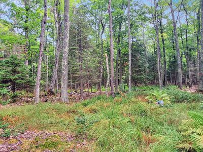 657 Spruce Ln, La Pointe, WI, 54850