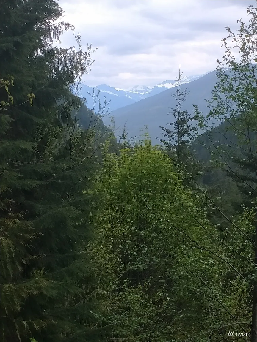 16 SNO MT. BAKER NAT FOREST photo 1