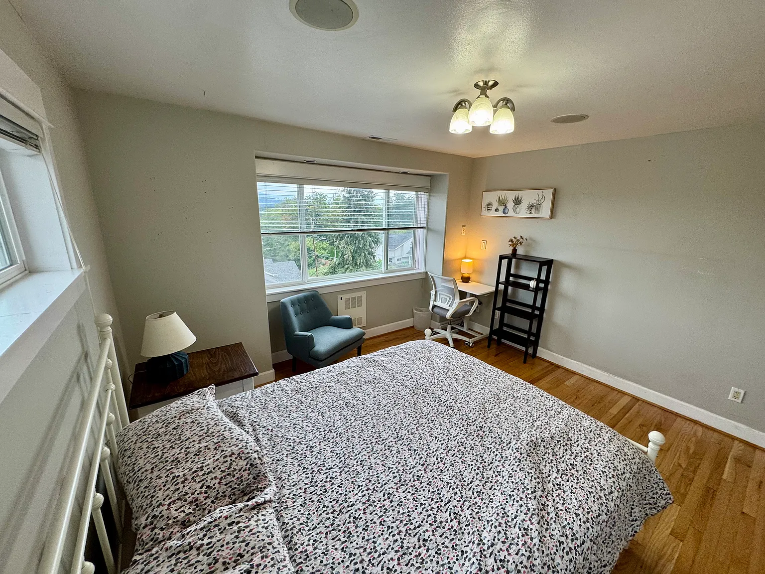 1 bed, 4129 sqft, $1,095 — Photo 3