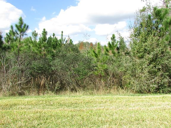 Beautiful Conservation View