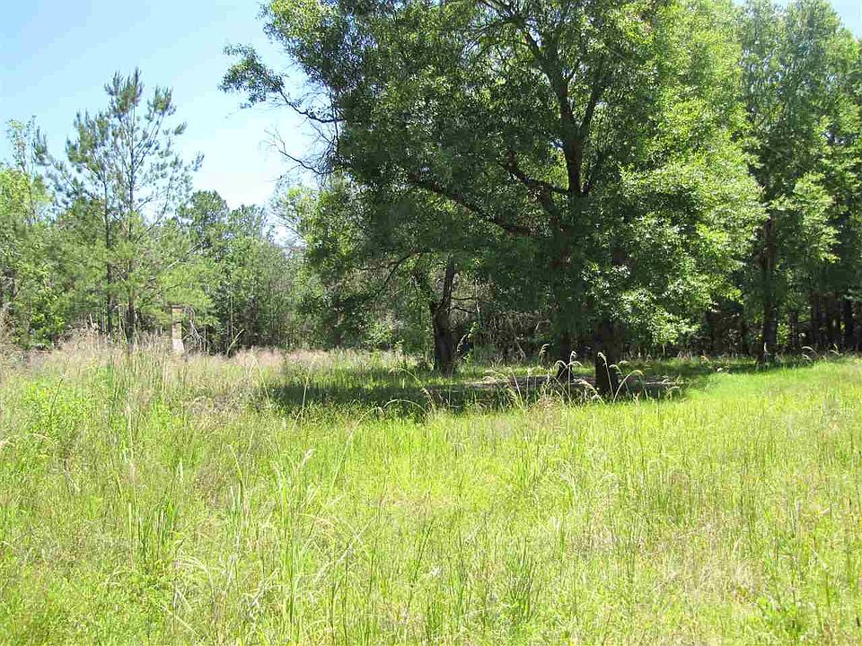2nd image of 222 Blair Rd
